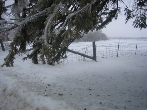 Yeah, Winter, you're pretty. But I'm done.