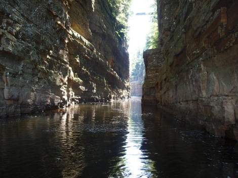"Ausable Chasm" by Daryll Kenyon on Flickr