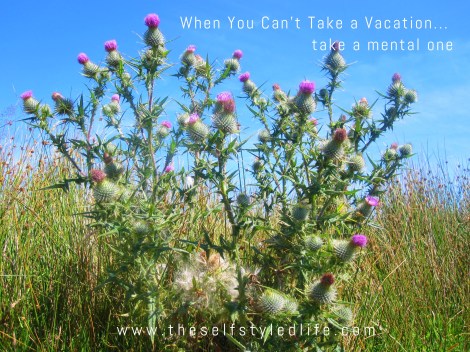 When You Can't Take a Vacation... take a mental one | www.theselfstyledlife.com